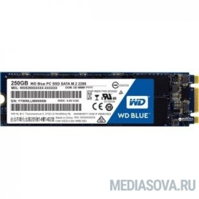  WD SSD M.2 250Gb WDS250G2B0B