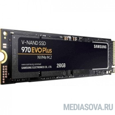  Samsung SSD 250Gb 970 EVO Plus M.2 MZ-V7S250BW