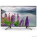  Sony 43