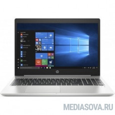 HP ProBook 455 G6 [8VT73EA] silver 15.6