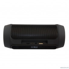 Ginzzu GM-994G (2х5Вт, 100Гц-18КГц, 2400мАч, Handsfree, AUX-in, TF/microSD, USB-flash, FM-radio, PowerBank