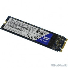WD SSD M.2 1Tb WDS100T2B0B
