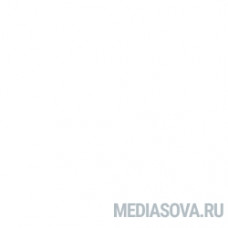 Legrand 031211 Заглушка торцевая - для мини-плинтусов DLPlus 40х20мм - белая
