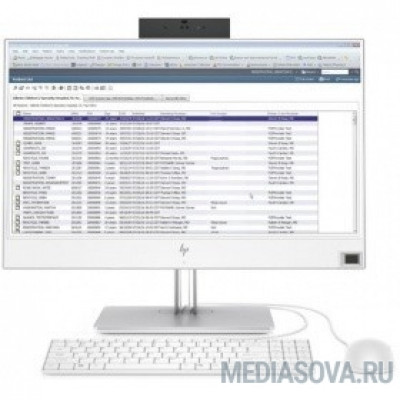  HP EliteOne 800 G5 [7QN50EA] silver 23.8