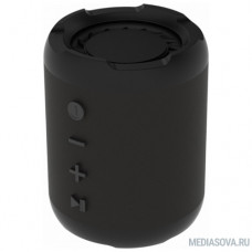 RITMIX SP-290B black
