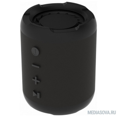  RITMIX SP-290B black