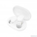  Xiaomi Mi True Wireless Earbuds белые [ZBW4420GL]