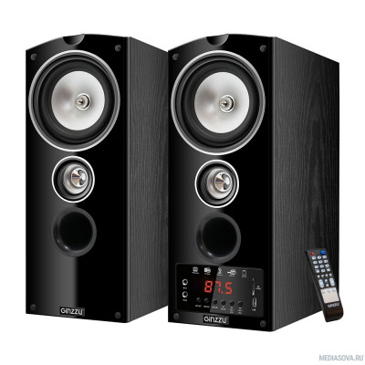  Ginzzu GM-302 черный 220В - 240В / 50 Гц 87,5-108,0 МГц 