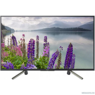  Sony 49
