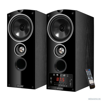  Ginzzu GM-301 черный 220В - 240В / 50 Гц 87,5-108,0 МГц 