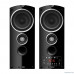  Ginzzu GM-301 черный 220В - 240В / 50 Гц 87,5-108,0 МГц 