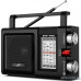  SVEN SRP-450, черный, радиоприемник, мощность 3 Вт (RMS), FM/AM/SW