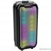  Ginzzu GM-221 (V5.0), 24Вт, 150Гц- 18кГц, USB-flash, microSD-card, FM-радио, пульт ДУ,  батарея 3,6В/2400мАч, эквалайзер