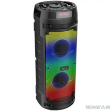 Ginzzu GM-219 (V5.0), 50Вт, 150Гц- 18кГц, USB-flash, microSD-card, FM-радио, пульт ДУ,  батарея 3,6В/4500мАч, эквалайзер 