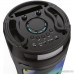  Ginzzu GM-219 (V5.0), 50Вт, 150Гц- 18кГц, USB-flash, microSD-card, FM-радио, пульт ДУ,  батарея 3,6В/4500мАч, эквалайзер 