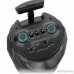  Ginzzu GM-223 (V5.0), 40Вт, 150Гц- 18кГц, USB-flash, microSD-card, FM-радио, пульт ДУ,  батарея 3,6В/3600мАч, эквалайзер