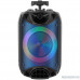  Ginzzu GM-223 (V5.0), 40Вт, 150Гц- 18кГц, USB-flash, microSD-card, FM-радио, пульт ДУ,  батарея 3,6В/3600мАч, эквалайзер