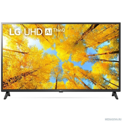  LG 55