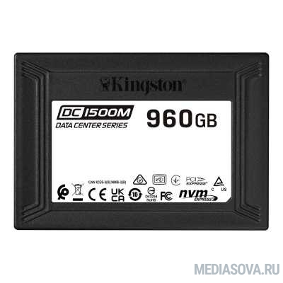  Kingston Enterprise SSD 960GB DC1500M U.2 PCIe NVMe SSD (R3100/W1700MB/s) SEDC1500M/960G