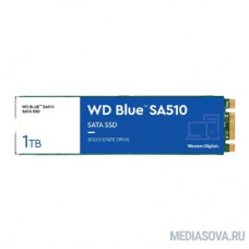 Western Digital SSD Blue SA510 1Tb M2.2280  SATA III WDS100T3B0B, 1 year