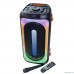  RITMIX SP-880B black