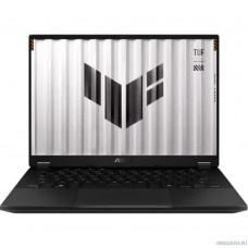 Asus TUF Gaming FA401UV-RG043 [90NR0JB1-M002S0] Grey 14